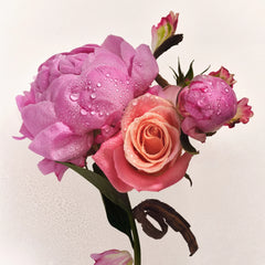Scent Layering Trio W5