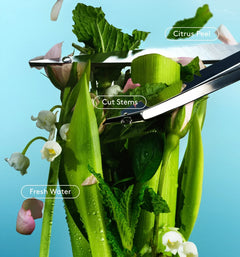 Daily Refresh Set C0