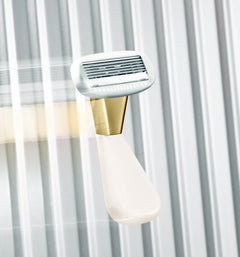 The Mini Razor Z6