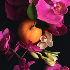 Full Body Fragrance Routine Y1